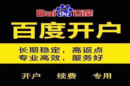 谷歌竞价广告的投放策略与成功案例分析